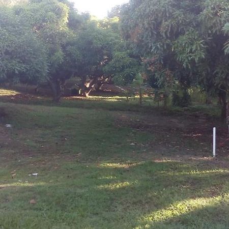 Residences Aux Saveurs Des Mangues Baillif Zewnętrze zdjęcie